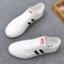 Mùa hè mới giày vải trắng nam phiên bản Hàn Quốc của xu hướng giày dại màu trắng giày nam giản dị - Plimsolls giầy thể thao nam