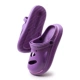 2202-Purple