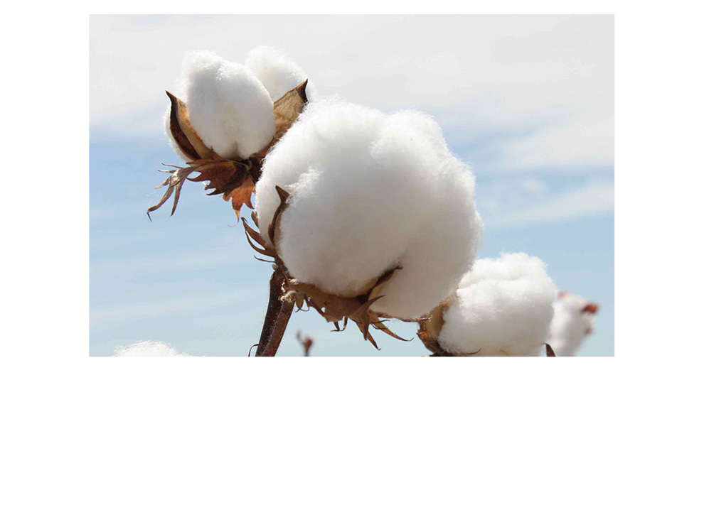 Dép đi trong nhà mùa đông Nhật Bản cotton nữ nhà câm đơn giản ấm áp cotton và lanh thoải mái chống trượt đôi dép nam - Trang chủ dép lê đi trong nhà