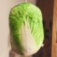 Китайская капуста