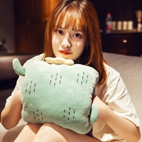 Квадратный зеленый кактус