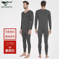 [Polar Professional теплый 280 г/㎡] v -neck (сильный дождь)