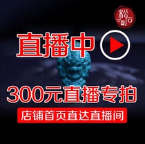 Songshitang pure natural raw ore turquoise live broadcast special shooting 300 yuan link live broadcast special shooting private shooting will not be posted