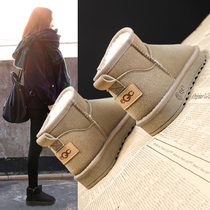 Snow Boots Woman 2021 New Autumn Winter Winter Plus Suede Thickened Cotton Shoes Waterproof Non-slip Women Shoes Shoes Short Boots