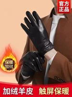 【Сенсорный экран овчины】 --- Мужские кнопки [сумка подарочных коробок]