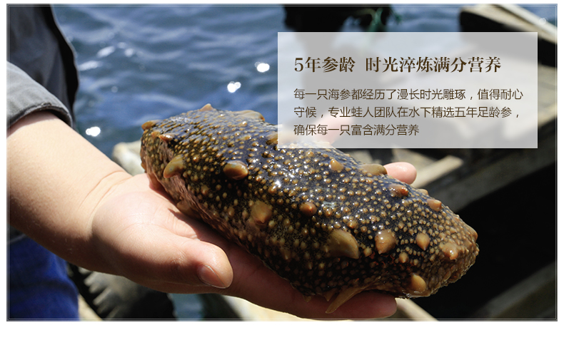 好当家海参好当家海参怎么样