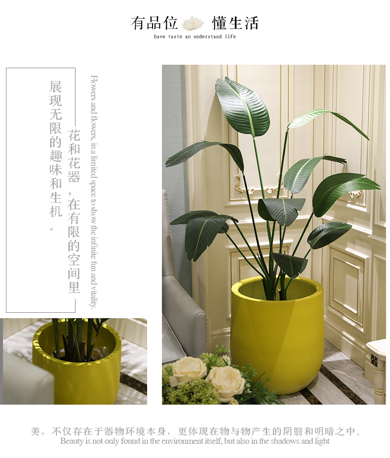 Jingdezhen ins Nordic simulation, the plants potted olive landing big plant home office window decoration