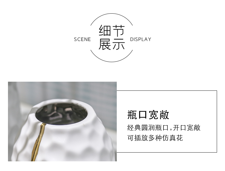 Nordic contracted household act the role ofing is tasted, ikebana ceramic vase decoration decoration example room living room TV cabinet table furnishing articles