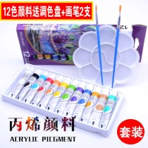 Acrylic painting pigment 12 color beginner set diy wall painting stone painting hand painted painting waterproof graffiti art