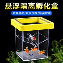 Acrylic fish tank incubation isolation box guppy small fish fry breeding box female fish nursery suspended incubation box