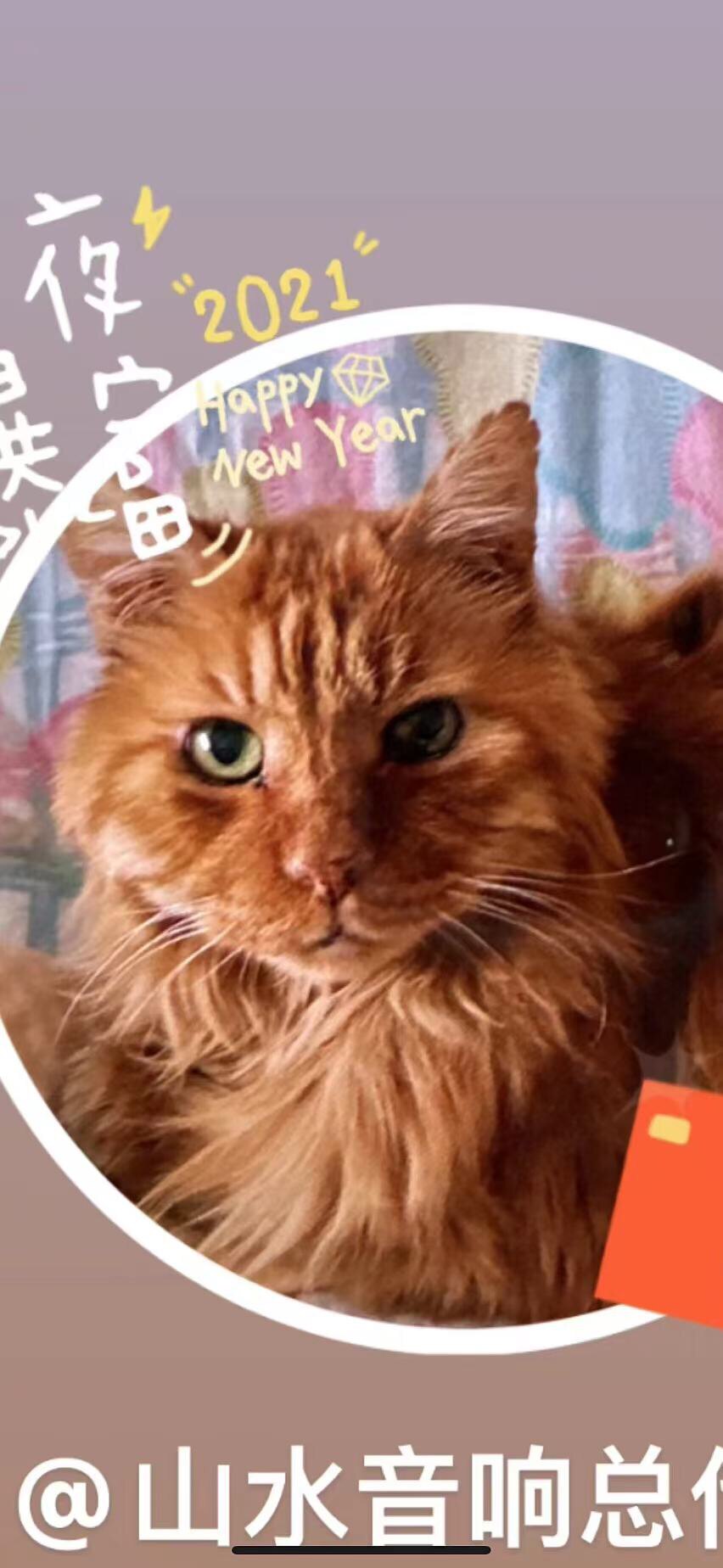 山水音响初心予桥店