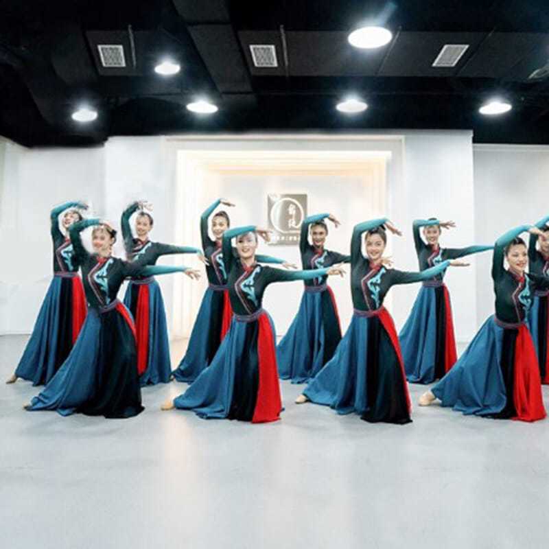 Mongolian dance performance costume adult female modern dance folk dance Zang Hongyan elegant long dance costume