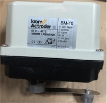 Electric actuator SM-10