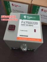 FLAMYAM program controller F4750I220 220V can replace R4750B