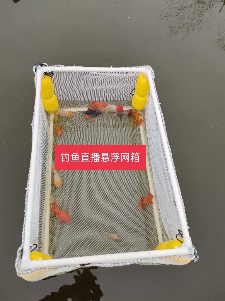 Fishing live goldfish ornamental fish Lanshou fishing net suspended box net portable special