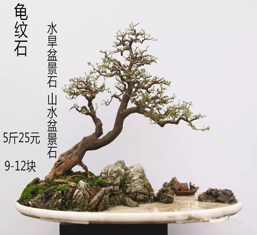 Tortoise Striped stone small bonsai stone water dry bonsai stone grain clear quality Park Cangsan Five catties A group of 9-12 pieces