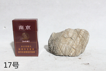 Turtle stone Stone bonsai Fish tank landscape with stone One scene one shot Landscape Bonsai Stone Mountain stone Bonsai