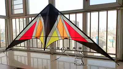 Hong Kong Junlong Pingpu 5th generation Pingpu 5 double-line stunt kite formation kite entry stunt kite beginner