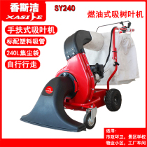 Gasoline leaf collector fallen leaf sweeper suction sweeper park street lawn leaf suction machine Xiangsi Jie SY-240