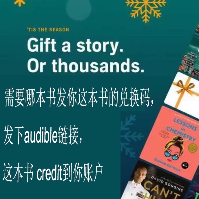 Directly Top up Your Us Audible Us Credit for Audiobooks, and the Credit Will Be Directly Credited to Your Personal Account