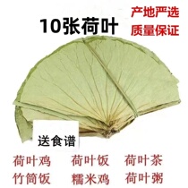 Whole lotus leaves 10 dried lotus leaves Whole dried lotus leaves Whole lotus leaves New lotus leaf chicken Lotus leaf rice Glutinous rice chicken