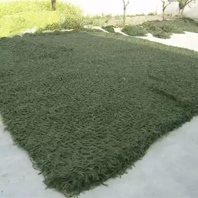 Manufacturers supply pine needle sand color decorative mesh grass green green mesh big flower pine needle shading net