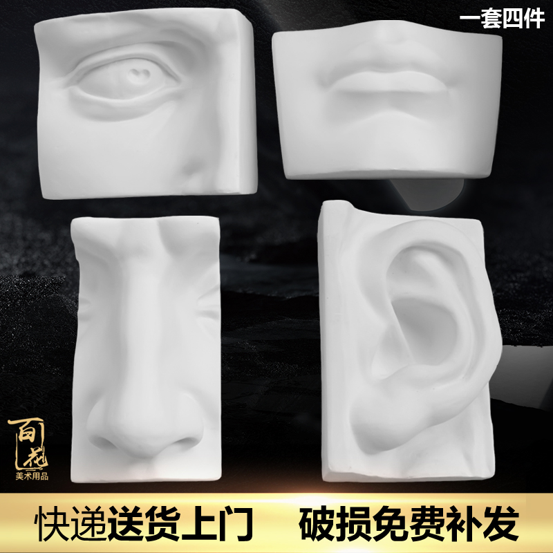 David facial features solid surface plaster like art painting model geometry sketch teaching aids still life painting sketch set