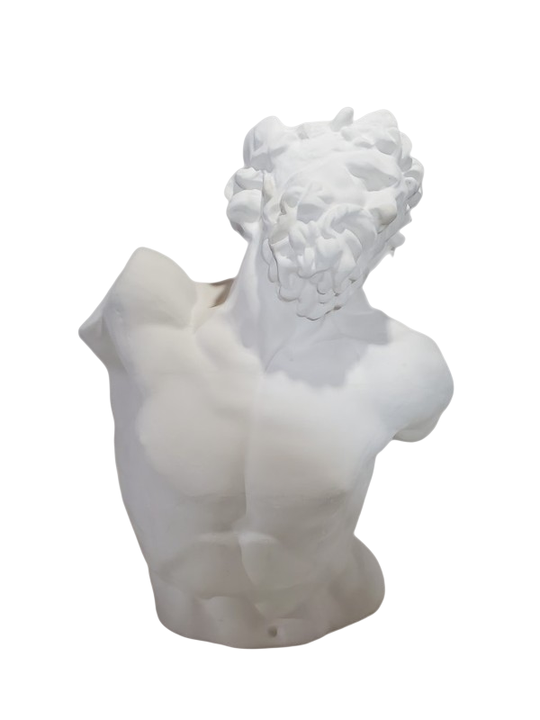 Waxon plaster bust 80 cm tall Laocoon