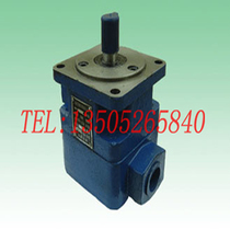 Manufacturer sells new blue single and double vane pump oil pump YB1-100 high pressure lubrication pump variable pump