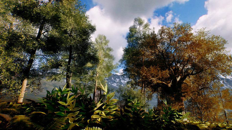 在道具创建的Autumn realistic forest pa_ed8ab2ab.jpg
