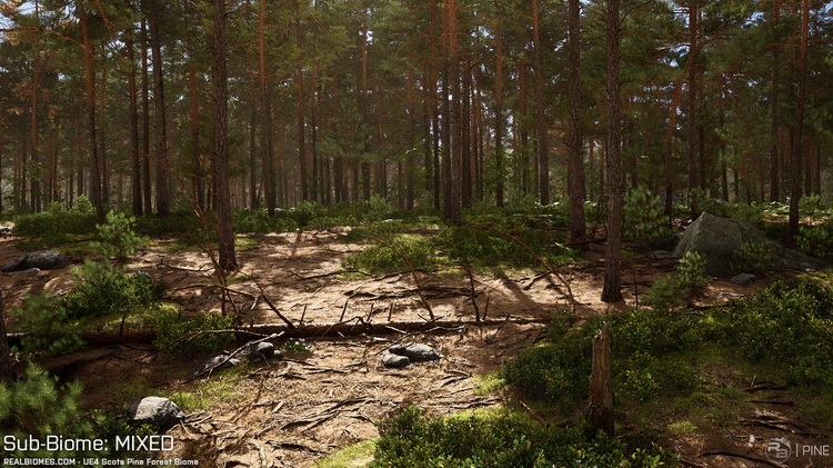的Scots Pine Forest Biome - 014.jpg