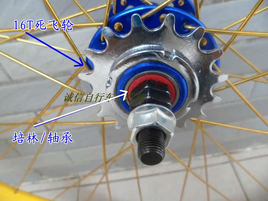 Roues de vélo - Ref 2372550 Image 9