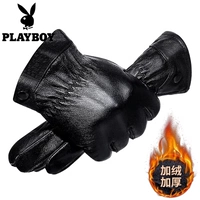 Тонкие линии овечья кожа