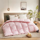 Premium duvet white duck eiderdown quilt spring and autumn quilt 6Jin [Jin is equal to 0.5 kg] thickened 10 Jin [Jin is equal to 0.5 kg] winter quilt double single quilt core