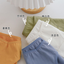 Minimalist V waist sexy womens underwear low waist size cotton Womens breifs thin breathable solid color womens pants