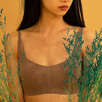 (Acacia sequelae) Sexy gathering underwear element muscle jelly strip chest style Japanese girl without steel ring bra