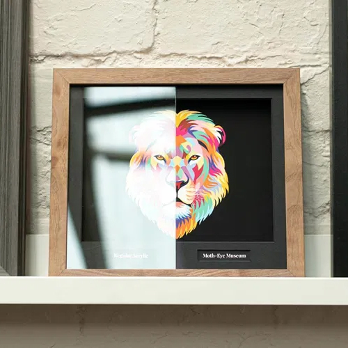 Moth Eye Anti-Reflective Acrylic Museum Anti-Uv High-Definition High-Transparency Low-Reflective Non-Reflective Plexiglass