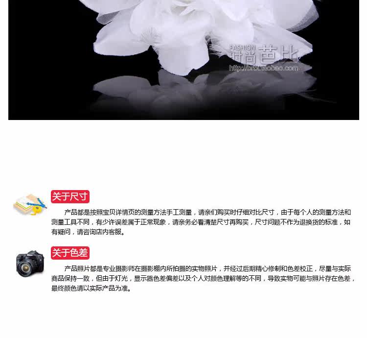 Broche femme en plume - Ref 1173678 Image 31