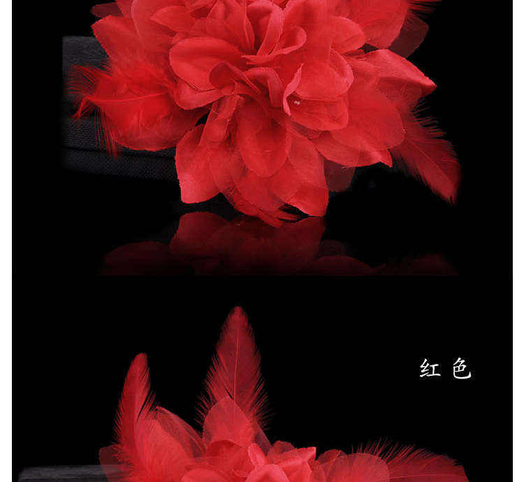 Broche femme en plume - Ref 1173678 Image 22