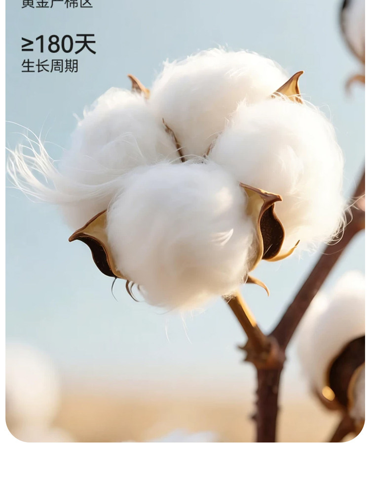 JQ婧麒[木耳边]月子帽夏薄款产妇帽单层花朵大头围孕妇帽防风护额 — 6