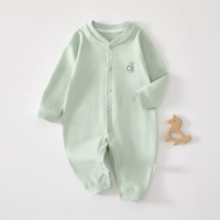 Чистая зеленая сладкая груша