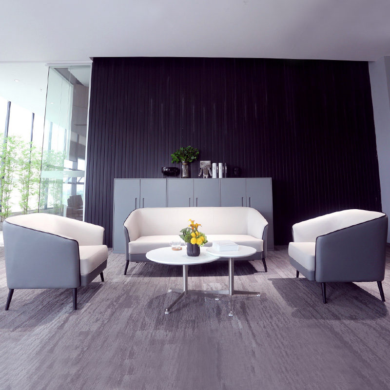 Minimalist modern studio guests in talks to receive the leisure area office sofa bicolor shop sofa tea table composition