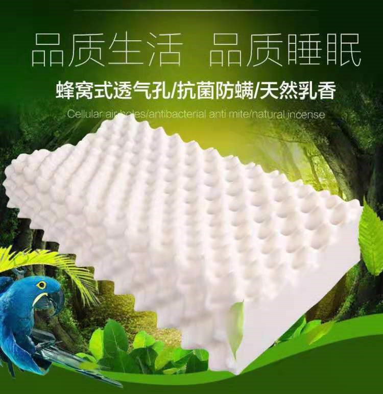 Natural latex 2 Ventry Adult latex pillows M602