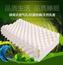 Natural Latex 2 Ventry Adult Latex Pillow M602