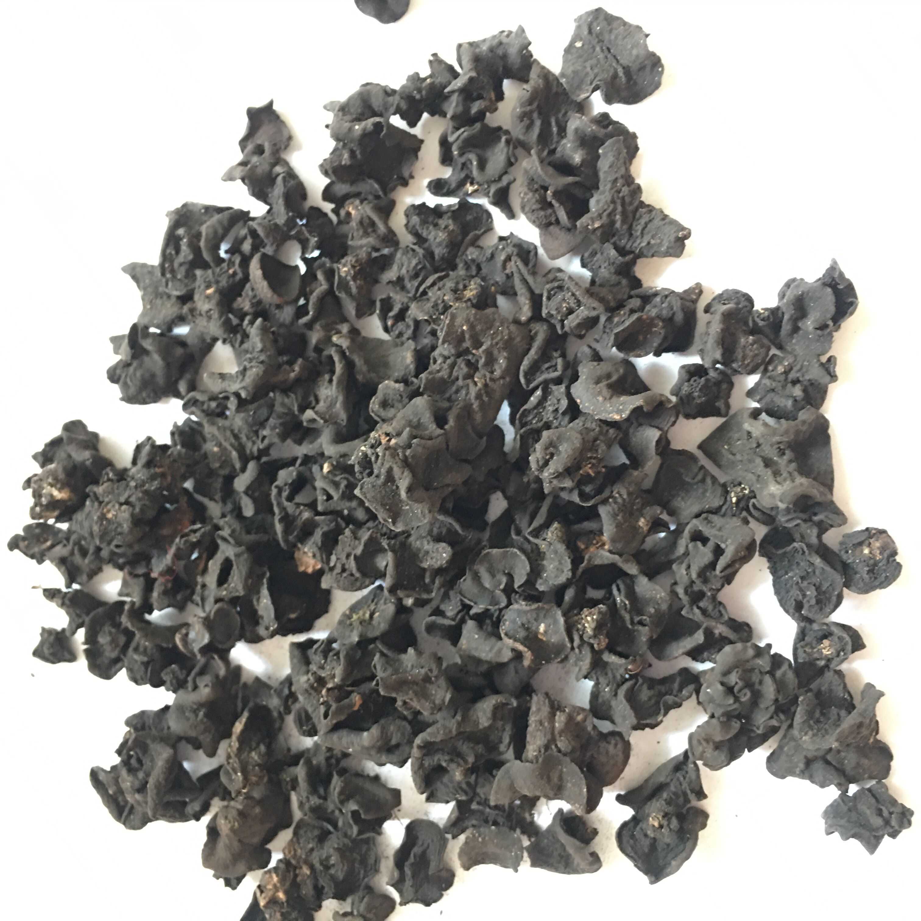 Wild gum-top medicine for wild medicine with wild gum top 500 gr