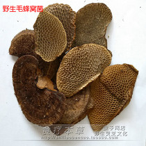 广东本地货 野生毛蜂窝菌蜂窝灵芝龙眼梳野生龙眼菌250克