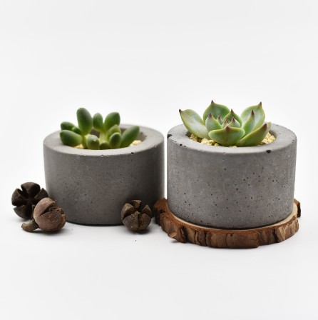 Pinqi Mold Creative Geometric Polygonal Concrete Flower Pot Fleshy Flower Pot Cement Pen Box Silicone Mold Custom