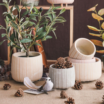 Creative succulent plant pot silica gel mold cement concrete gypsum table top decoration ornament potted mold