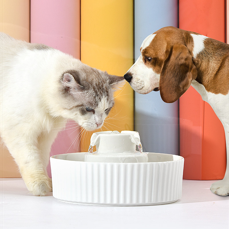 Universal light pet cat water dispenser ceramic flow feeding water bowl automatic circulation filter cat and dog drinking water dispenser