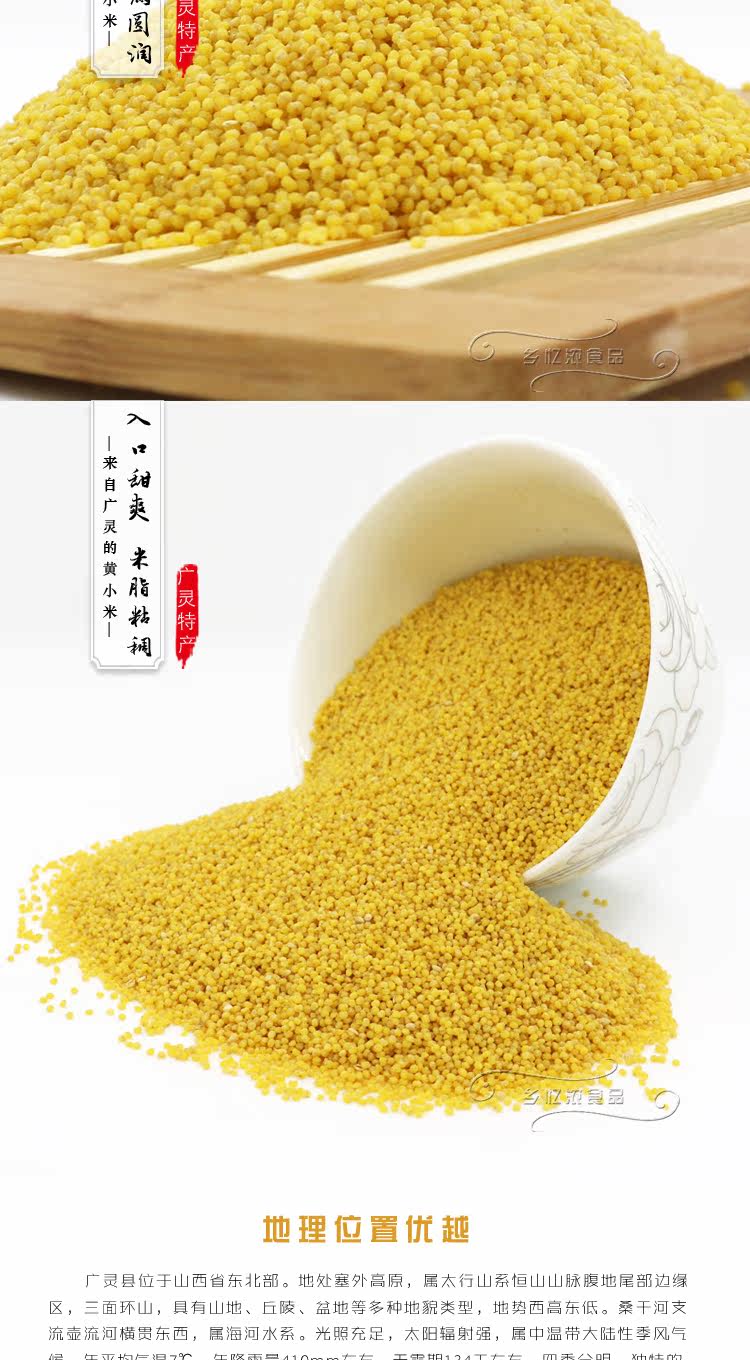 Guangling Xiaomi-Details (2) _03.jpg